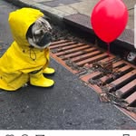 James Kawalek - @j.p.e.k.aksamit - Instagram
