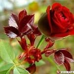 James Alam - @james.alam.9083 - Instagram
