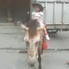James Alderete - @james.alderete - TikTok