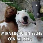 james-alfonso - @sabandoandrea78 - Instagram