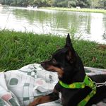 James Alfonso Caguazango Yascual - @jaorke - Instagram