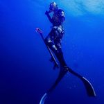 James Allbright - @drive_the_shortbus - Instagram