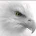 James Amoako Ministries - Facebook