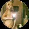 jamesangeles845 - @jamesangeles845 - TikTok
