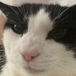 James Annison - @james.annison - Instagram