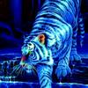 James84ansari - @james24ansari - TikTok