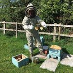 James Ansell - @thegreen_woodshackbeekeeping - Instagram