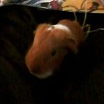 Kinder_James_Appleyard - @kinder_james_appleyard - Instagram