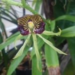 James Arbogast - @arbogast3659 - Instagram