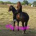 James Arhelger - Facebook