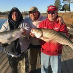 James Armes - @armesjames - Instagram