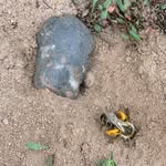James Armes - @jamesarmes4782 - Instagram