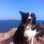 James Armitage - @james_armitage579 - Instagram