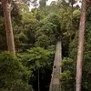 jamesarmitage986 - @jamesarmitage986 - TikTok