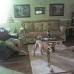 James Armon - @j.armon01 - Instagram