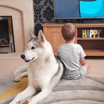 Armond James - @armond.james.562 - Instagram