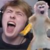 JamesArmy16 - @jamesarmy16 - TikTok