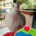 James Arnaiz Arnaiz Padillo - Facebook