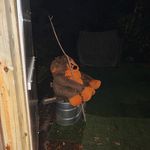 James Arnott - @arnott3453 - Instagram