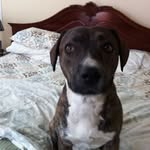 James Arnould - @jmaj08141953 - Instagram