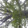 jamesarquette243 - @jamesarquette243 - TikTok
