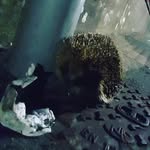 James Arrigan - @jimbobjamesey - Instagram