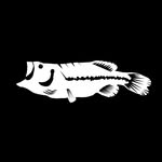James Arrington - @vfl_fishing - Instagram
