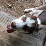 Atlas James Arrowood - @atlest22 - Instagram