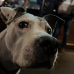 James Artman - @peteyythesweetyy - Instagram