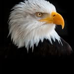 James Asante - @james.asante.5055 - Instagram
