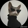 Jamesss - @jamessssssss_ssss - TikTok