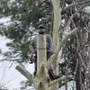 James Askins809 - @jamesaskins1 - TikTok