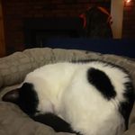 James Asselin - @i_like_giveaways101 - Instagram