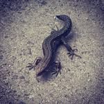 James Astbury - @jim_astbury - Instagram