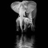jamesatchley855 - @jamesatchley855 - TikTok
