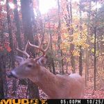 James Atterberry - @fullredneck65 - Instagram