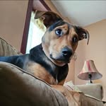 James Atti - @jamesatti - Instagram