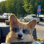 James Attivor - @jamesattivor - Instagram