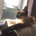 James Audette - Facebook