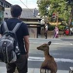 James Auditore da Firenze - @jamesauditoredafirenze - Instagram