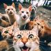 James Acedo Auman - Facebook