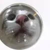 James Auman - @james.auman2 - TikTok