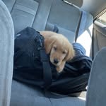 James Awad - @james.awad.2 - Instagram