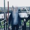 James Axon377 - @jameseaxon - TikTok