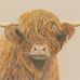 James Axon - Facebook