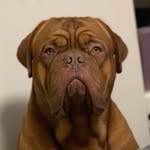 James Ay - @james.ay.9047 - Instagram