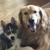 James - @james.say - TikTok