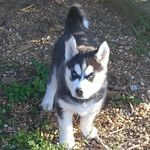 James Ayton - @jamesayton - Instagram