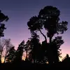 jamesayton408 - @jamesayton408 - TikTok