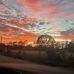 Barkitis Jim - Facebook